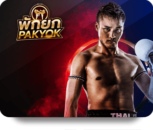 Đánh Giá Dịch Vụ 1xBet Thể Thao VIP Hiện Nay